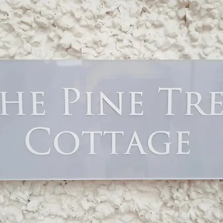 Holiday home The Pine Tree Of Warren Boutique