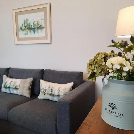 The Pine Tree Of Warren Boutique