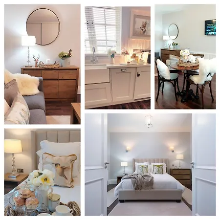 The Pine Tree Of Warren Boutique *