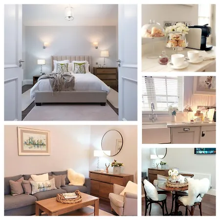 The Pine Tree Of Warren Boutique * Dromod